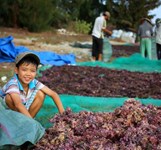 Đảo Bình Hưng Cam Ranh