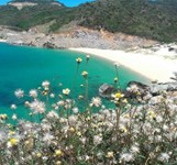 Đảo Bình Hưng Cam Ranh