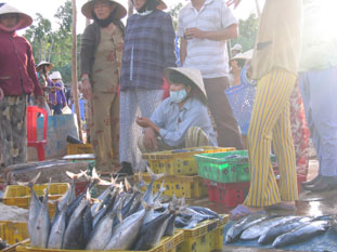 Chợ Rỗi Ninh Đa Ninh Hòa