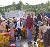 Chợ Rỗi Ninh Đa Ninh Hòa
