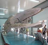 Viện Hải Dương Học Nha Trang Khánh Hòa