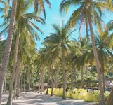 Đảo Bình Lập Nha Trang