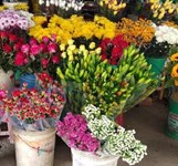 Chợ Đầm Nha Trang