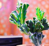 Kim An Hotel Nha Trang