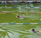 Đảo Khỉ Nha Trang - Hòn Lao