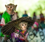 Đảo Khỉ Nha Trang - Hòn Lao