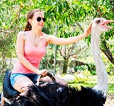 Đảo Khỉ Nha Trang - Hòn Lao