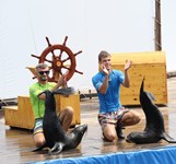 Đảo Khỉ Nha Trang - Hòn Lao