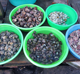 Dốc Lết Nha Trang