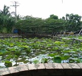 Nhà Hàng Nha Trang Xưa