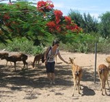 Hòn Thị Nha Trang