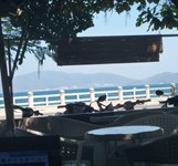 Cafe Lan Chi