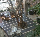 Cafe Lan Chi