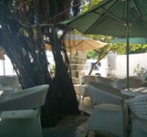 Cafe Lan Chi