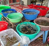 Quán Ốc Và Hải Sản Long Vũ Nha Trang