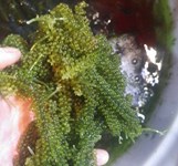 Quán Ốc Và Hải Sản Long Vũ Nha Trang