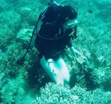 Khu Bảo Tồn Biển Hòn Mun Nha Trang