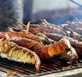 Khu Du Lịch Con Sẻ Tre Nha Trang