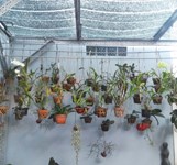 Ta Ta - Quán Ăn Gia Đình