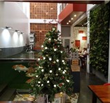 Pizza Giang Nha Trang