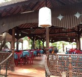 Đồng Xanh Quán - Xuân Lạc