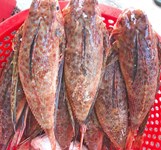 Hải Sản Bé Tân