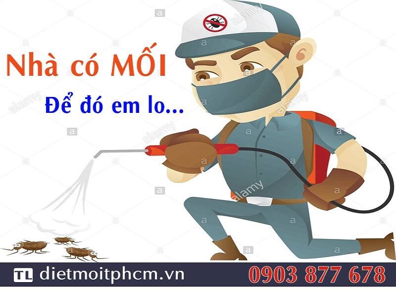 Công ty diệt mối TRỊNH GIA BẢO