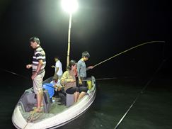 Tour Câu Mực Đêm Nha Trang