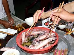 Tour Câu Mực Đêm Nha Trang