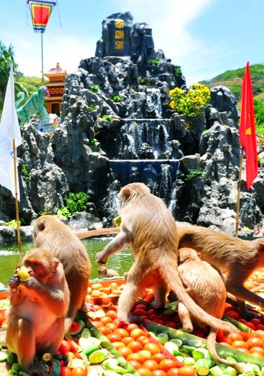 Tour Đảo Khỉ Suối Hoa Lan Nha Trang