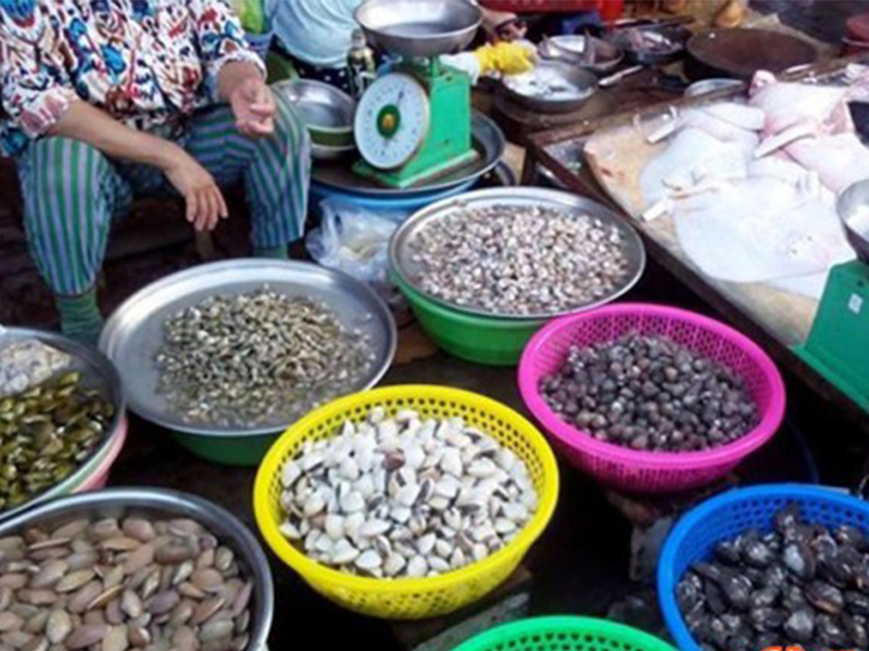 Mua hải sản chợ Bình Tân Nha Trang